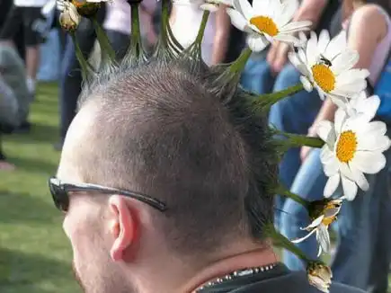 Подборка на понедельник)