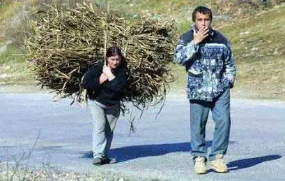 Подборка №1