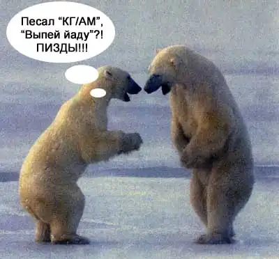 картинки с надписями