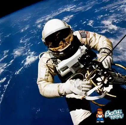 Космонавты встречали НГ 16 раз !!!