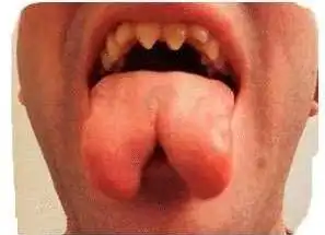 Новигатор стомотологии