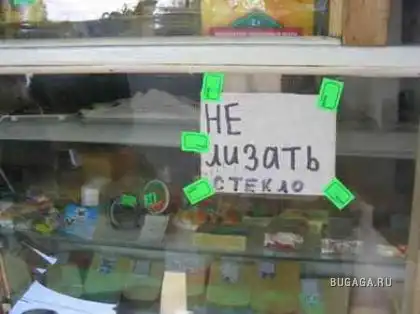 смешные фоты