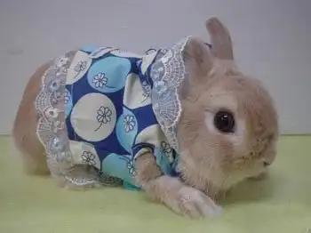 Подборка №18