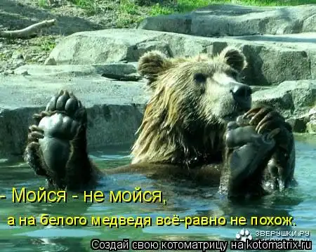 Котоматрицы 28