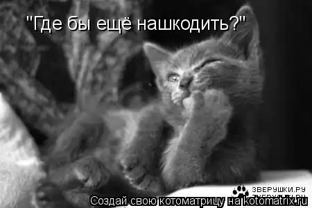 Котоматрицы 28