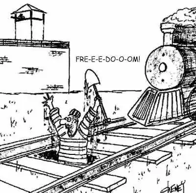 Фотоподборка