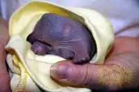 Загадка дня(9 фото)