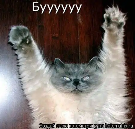 Котоматрицы (и хорошего вам настроения)