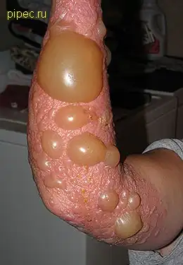 Для тех кто ни ел еще