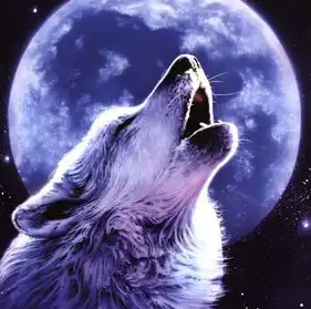 волк-одиночка