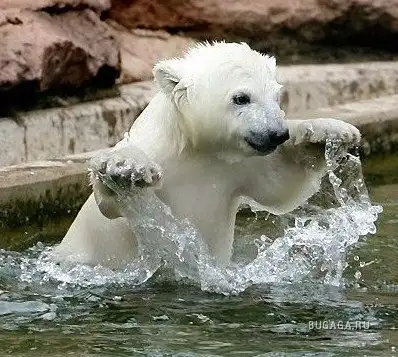 Здравствуй, пятница!!!