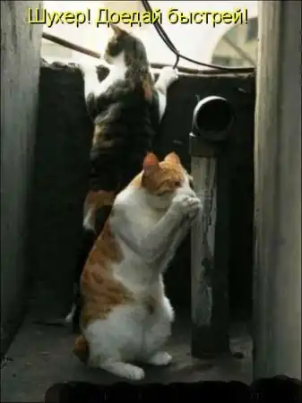 Забавная подборочка