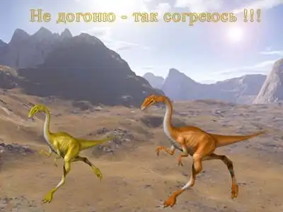 Обо всем по-немногу