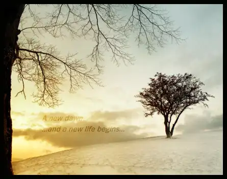 Осень (11 Фото)