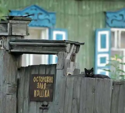 продолежние приколов дня