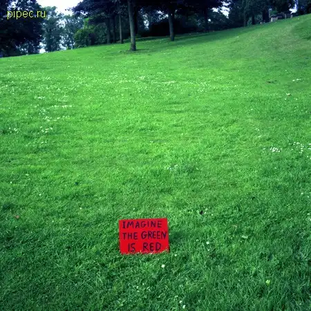 Подборка прикольных фото