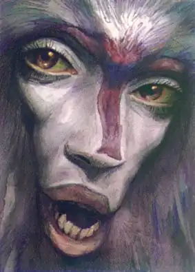 Illustrations by Brian Fraud