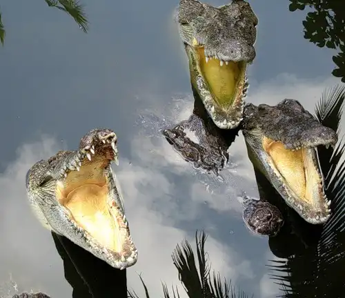 50 лучших фотографий по мнению яндекс.ру