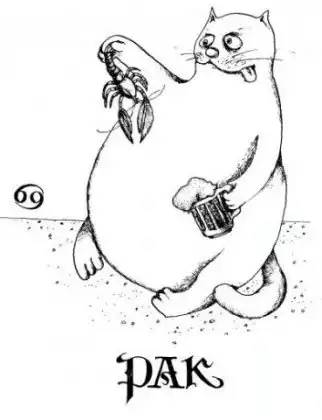 Знаки зодиака :)