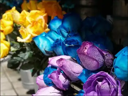 Подборка красивых фоторабот