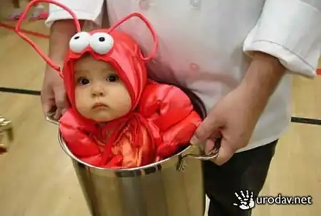 ФотоПриколы.