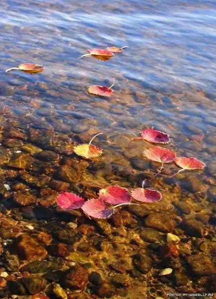 Озеро Селигер