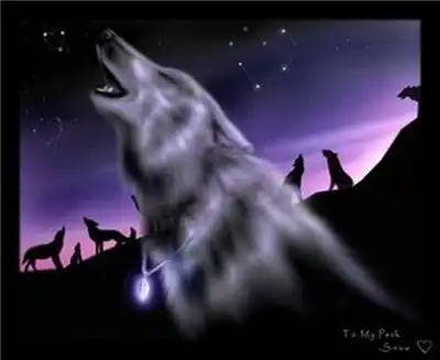 Волки(мало)