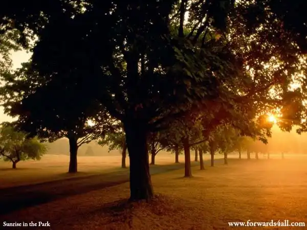 Восход солнца в разных частях света