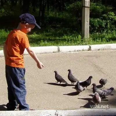 Осторожность никому никогда не вредила