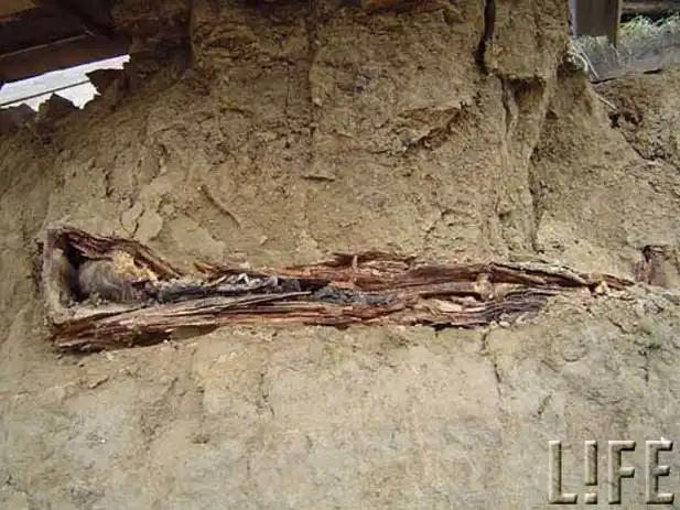 Гробы поднялись из земли. Фотошок!