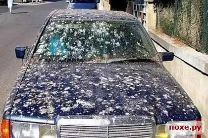 Подборочка...)