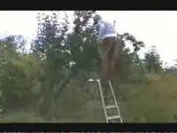 Глобальное невезение