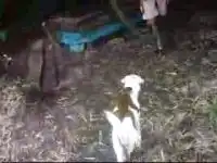 Маленький наездник