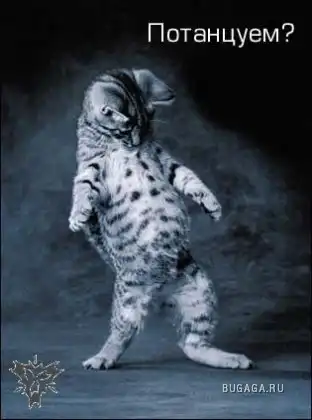 Потанцуем?!