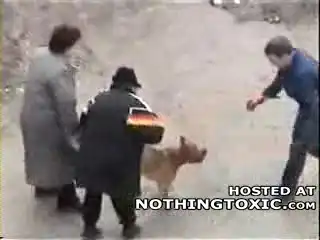 Собака без намордника. Жесть.