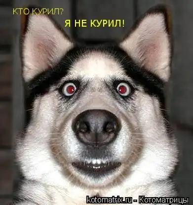 Животные и прикольные подписи к ним