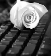 черно-белое:.......( цветы)!!!