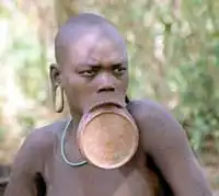 Нестандартное использование тарелок