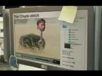 Не надо шутить с Чаком Норрисом