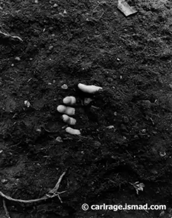 Тёмный позитив...