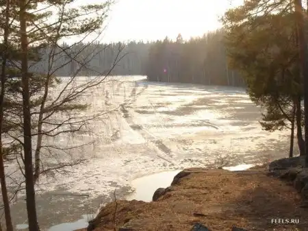 Времена года