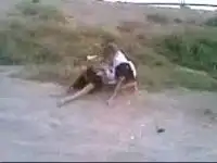 Жестокие восточные девушки