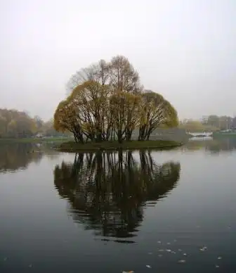 Я люблю свою планету!
