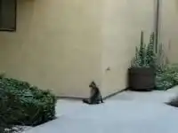 Нелегка дорога домой )