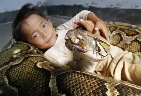 Мальчик и анаконда (3 фото)