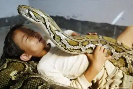 Мальчик и анаконда (3 фото)