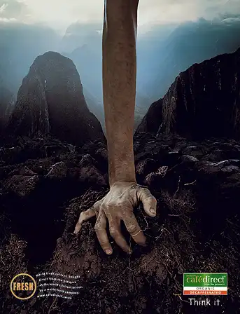 Фотограф Darran Rees