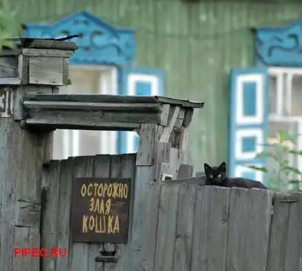 Фотоподборка