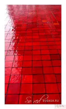 Подборка в красных тонах