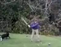 Незаменимый помощник